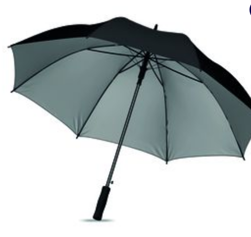 SWANSEA+ 27 Inch Auto Open Silver Coated Umbrella