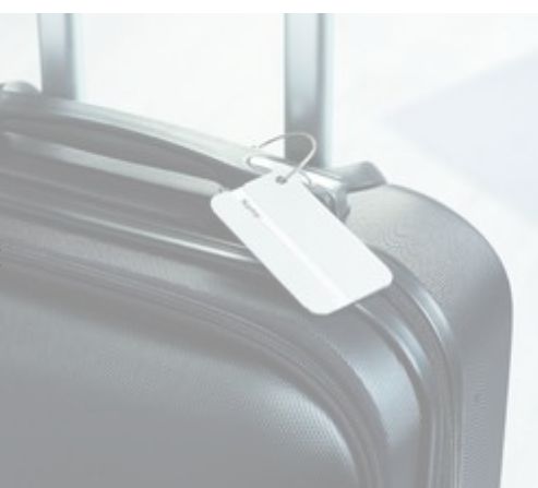 TAGGY Durable Aluminium Travel Luggage Tag 8x4cm - matt silver